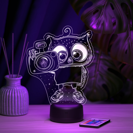 3D светильник  Светильник "Сова с фотоаппаратом"