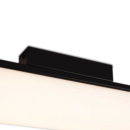 Потолочный светильник Freya FR5625CL-L20B