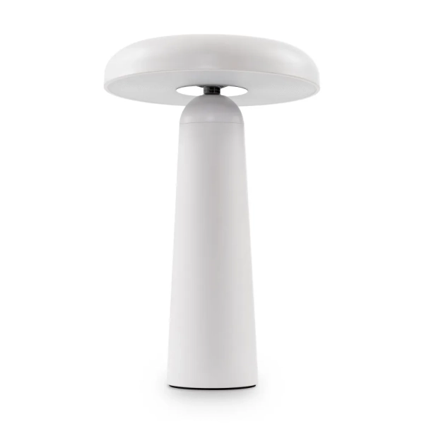 Аккумуляторный светильник Freya FR6109TL-L4W