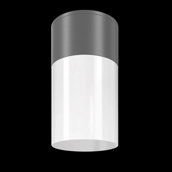 Уличный потолочный светильник Outdoor O418CL-01GR