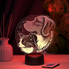 3D светильник  Светильник "Ветеринару"