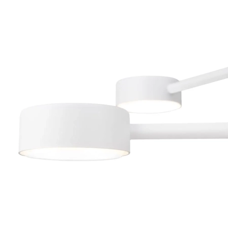 Потолочный светильник Freya FR5363CL-04W