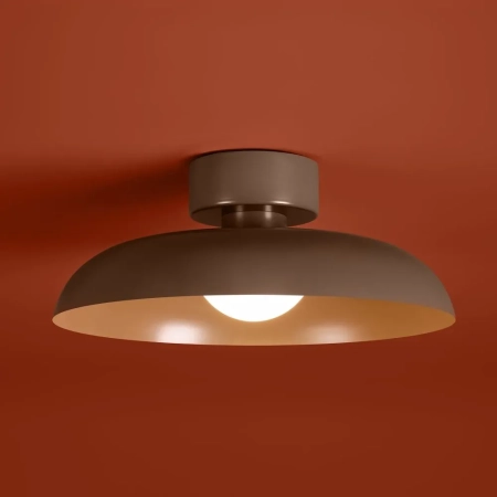 Потолочный светильник Freya FR5602CL-L10BR