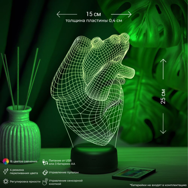 3D светильник  Светильник "Анатомическое сердце"