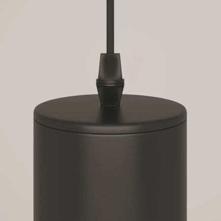 Подвесной светильник Maytoni P075PL-01B