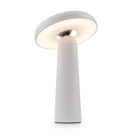 Аккумуляторный светильник Freya FR6109TL-L4W