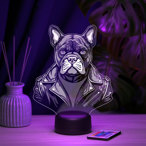 3D светильник  Светильник "Пес в куртке"