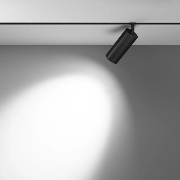 Трековый светильник Technical TR032-2-20W4K-M-B