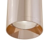 Потолочный светильник Technical C010CL-01RG