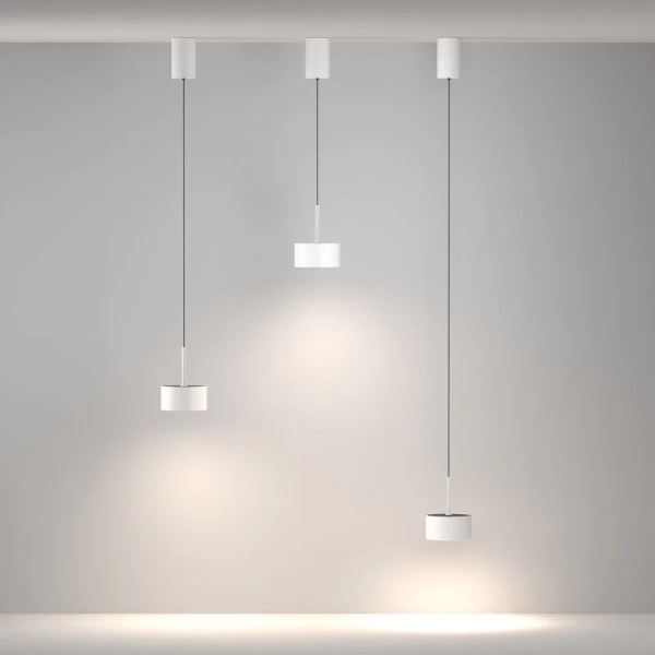 Подвесной светильник Maytoni P102PL-12W4K-W