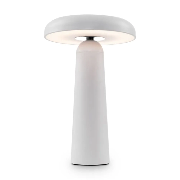 Аккумуляторный светильник Freya FR6109TL-L4W