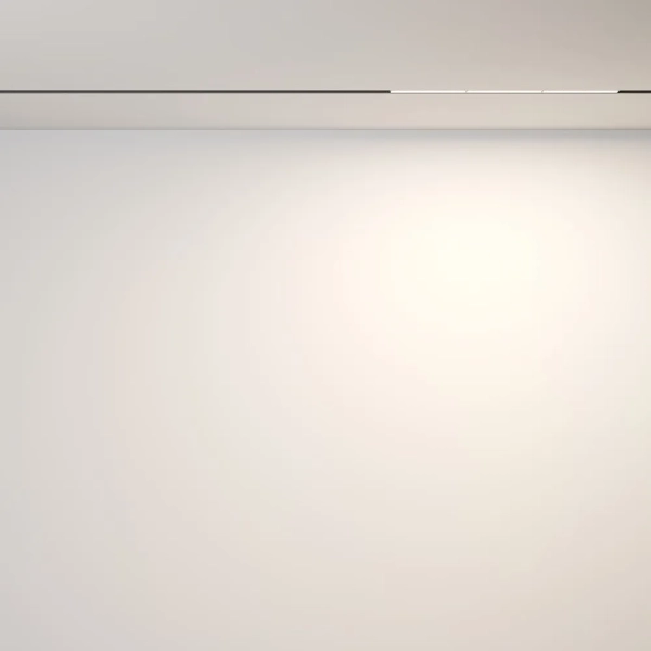 Трековый светильник Technical TR106-2-18W3K-B