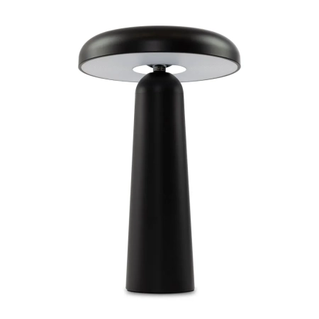 Аккумуляторный светильник Freya FR6109TL-L4B