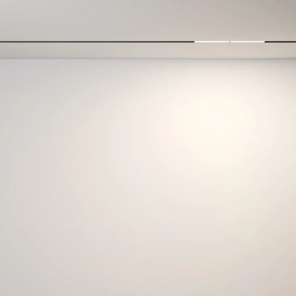 Трековый светильник Technical TR106-2-12W3K-B