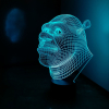 3D светильник  Шрек