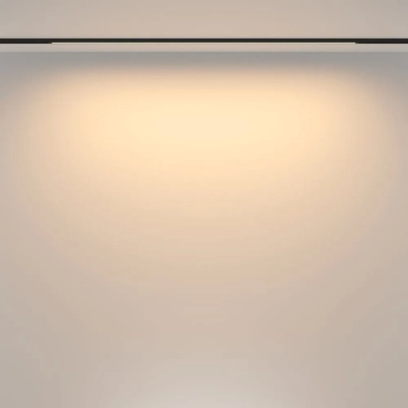 Трековый светильник Technical TR173-1-24WTW-B