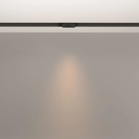 Трековый светильник Technical TR100-2-2W3K-S-B