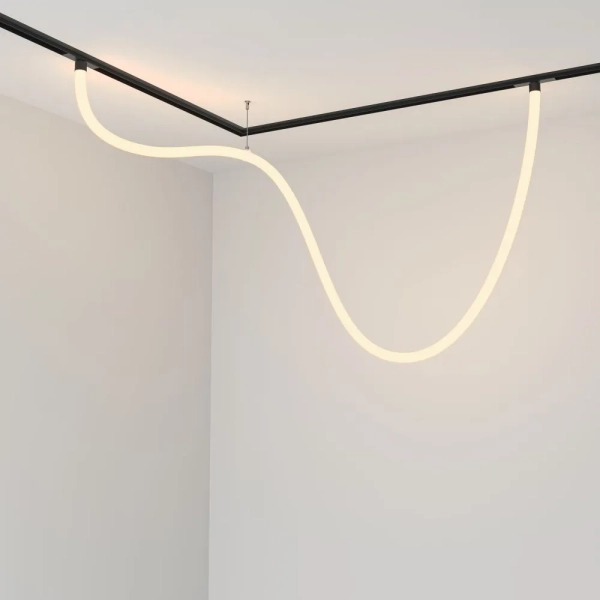 Трековый подвесной светильник Technical TR101-2-50W3K-B