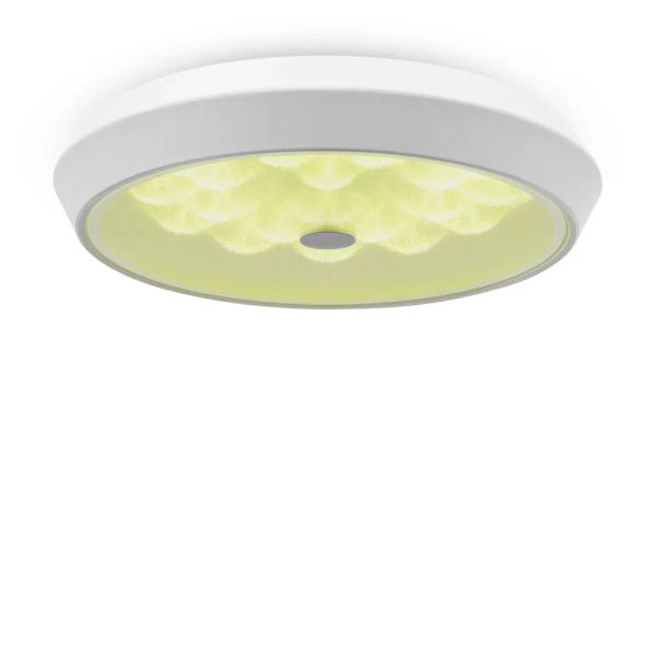 Потолочный светильник Freya FR10012CL-L24W