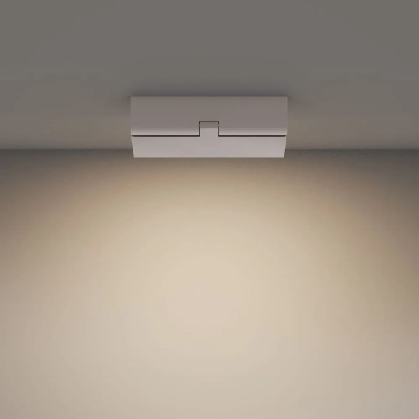 Потолочный светильник Technical C133CL-12W3K-W