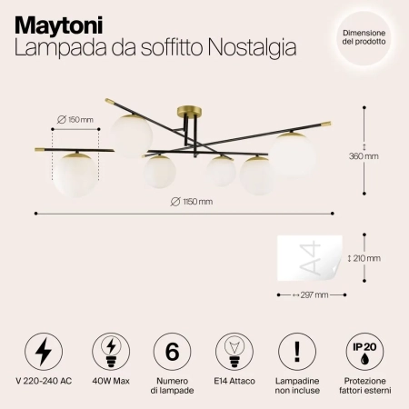 Потолочный светильник Maytoni MOD048CL-06G