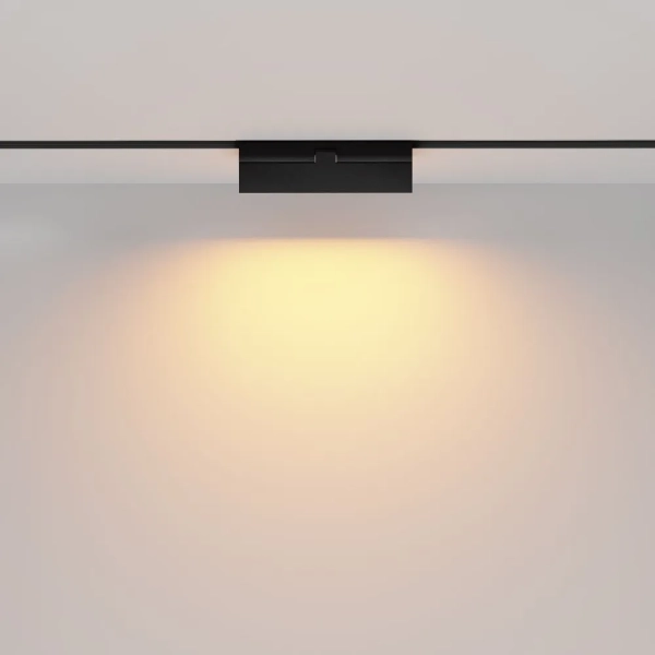 Трековый светильник Technical TR036-2-12W2.7K-B