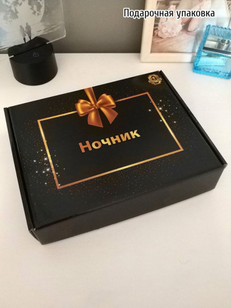 3D светильник  Светильник "Мишка с именем Ромина"