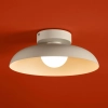Потолочный светильник Freya FR5602CL-L10W
