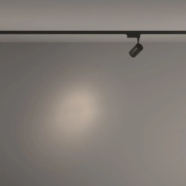 Трековый светильник Technical TR003-1-6W4K-S-B