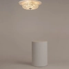 Люстра Maytoni DIA902-04-N