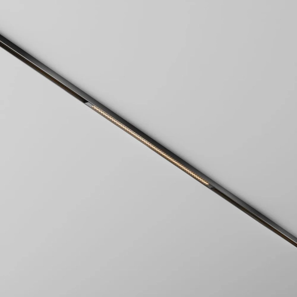 Трековый светильник Technical TR241-2-12W3K-B