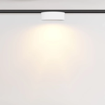Трековый светильник Technical TR189-1-12W2.7K-BW