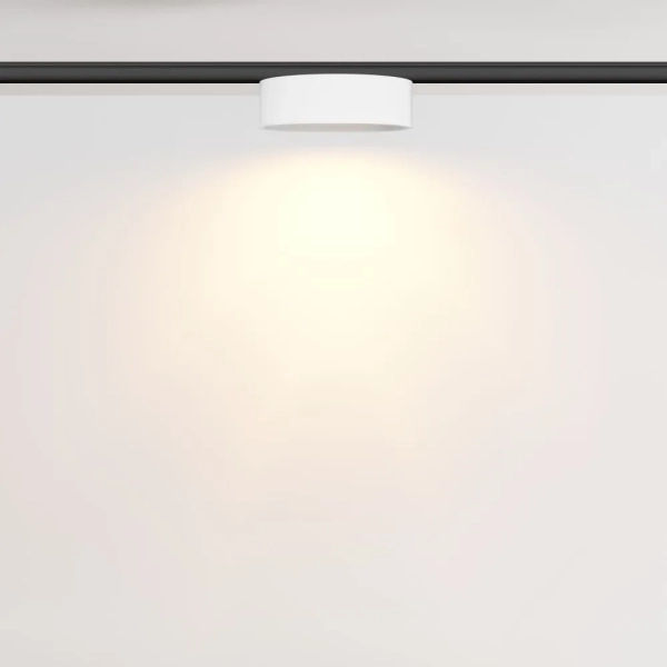 Трековый светильник Technical TR189-1-12W2.7K-BW