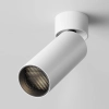 Потолочный светильник Technical C055CL-L12W3K-W-D-W