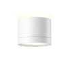 Потолочный светильник Technical C120CL-GX53-W