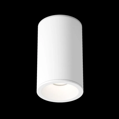 Потолочный светильник Technical C029CL-01-S-W