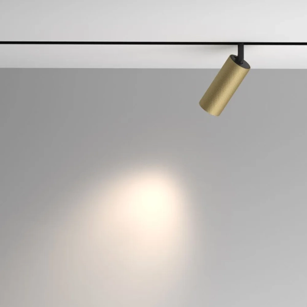 Трековый светильник Technical TR097-2-12W4K-M-BMG