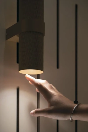 Настенный светильник (бра) Maytoni C069WL-02B