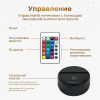 3D светильник  Светильник "Львиная пара"