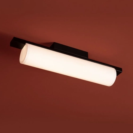 Потолочный светильник Freya FR5625CL-L20B