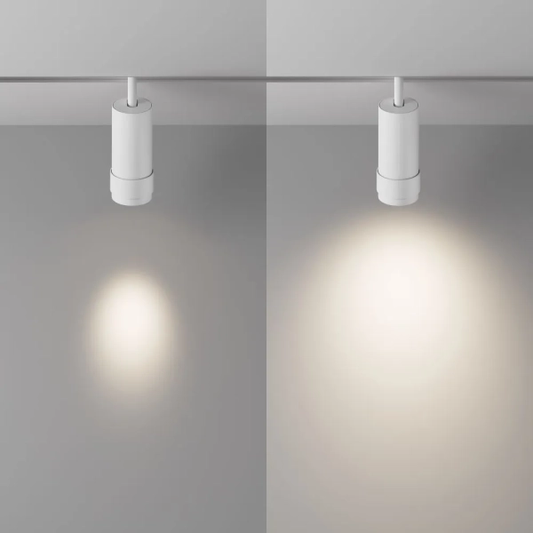 Трековый светильник Technical TR212-4-12WTW-Z-DSZ-W