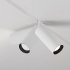 Трековый светильник Technical TR032-2-20W3K-S-W