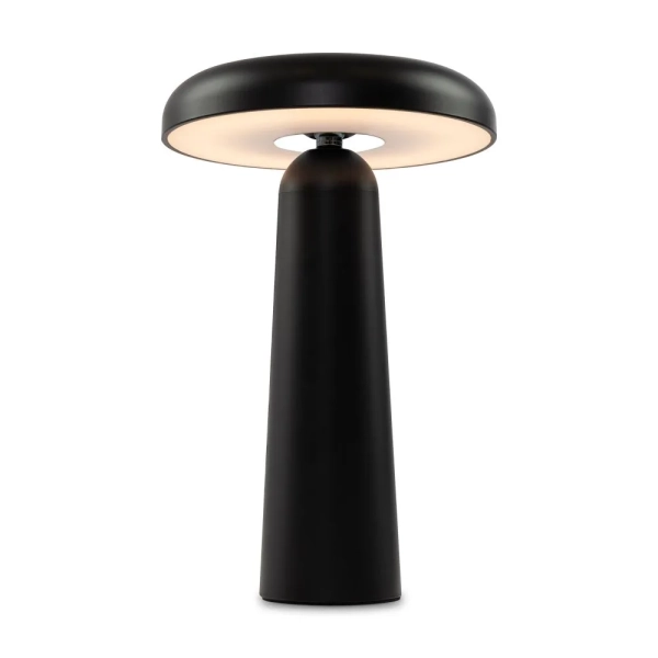 Аккумуляторный светильник Freya FR6109TL-L4B