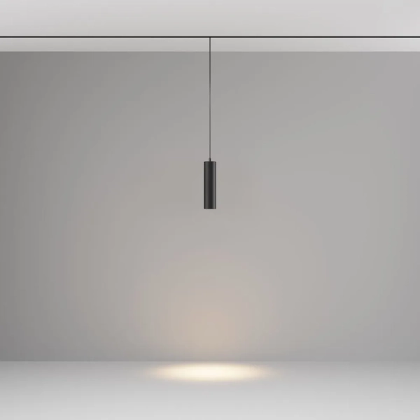 Трековый подвесной светильник Technical TR041-2-12W3K-B