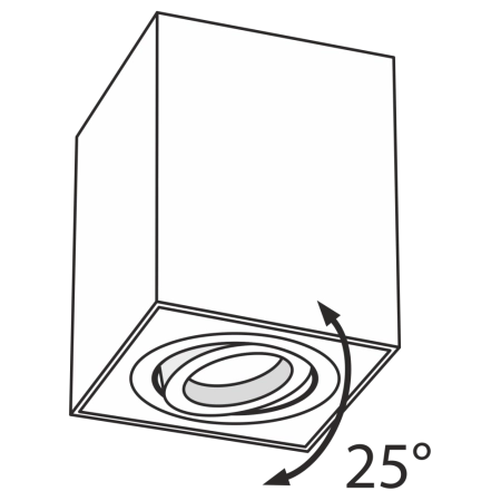 Потолочный светильник Technical C017CL-01S