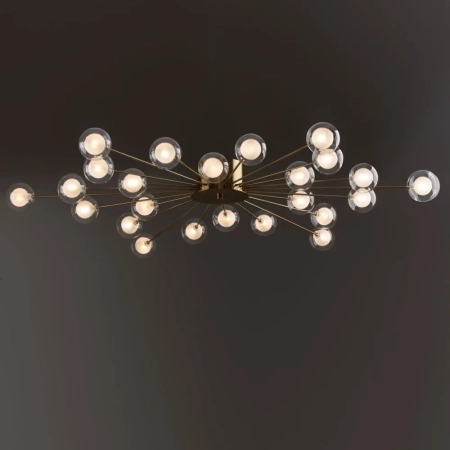 Потолочный светильник Freya FR5242CL-24BS1