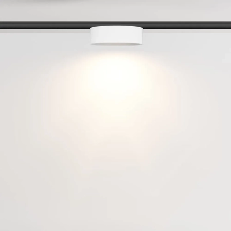 Трековый светильник Technical TR189-1-12W3K-BW