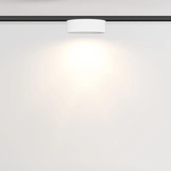 Трековый светильник Technical TR189-1-12W3K-BW