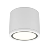 Потолочный светильник Technical C095CL-GX53-W