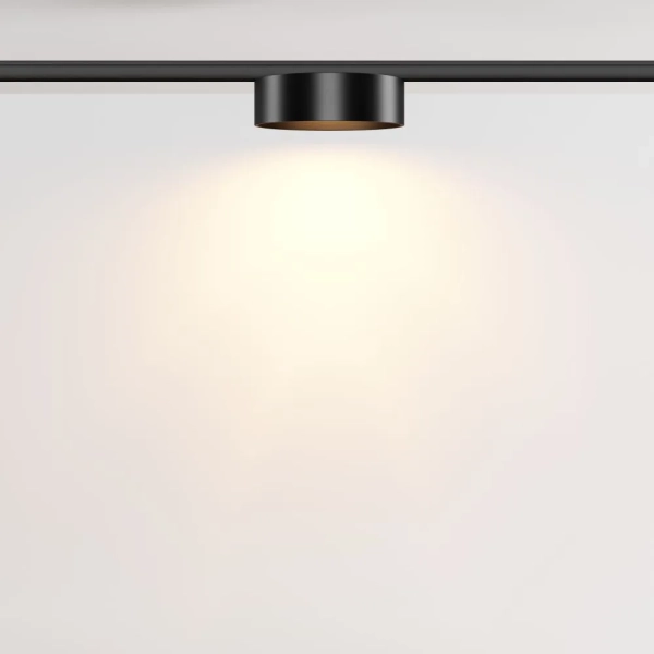Трековый светильник Technical TR189-1-12W2.7K-B